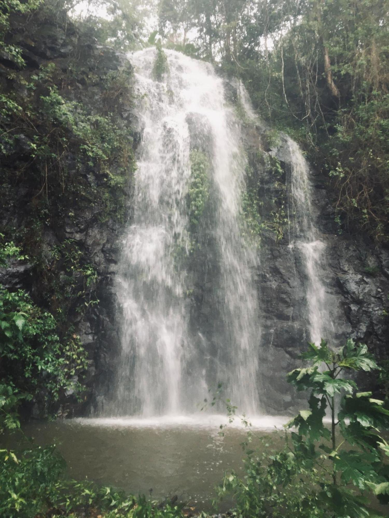 Nimbin Waterfall Retreat Exteriör bild