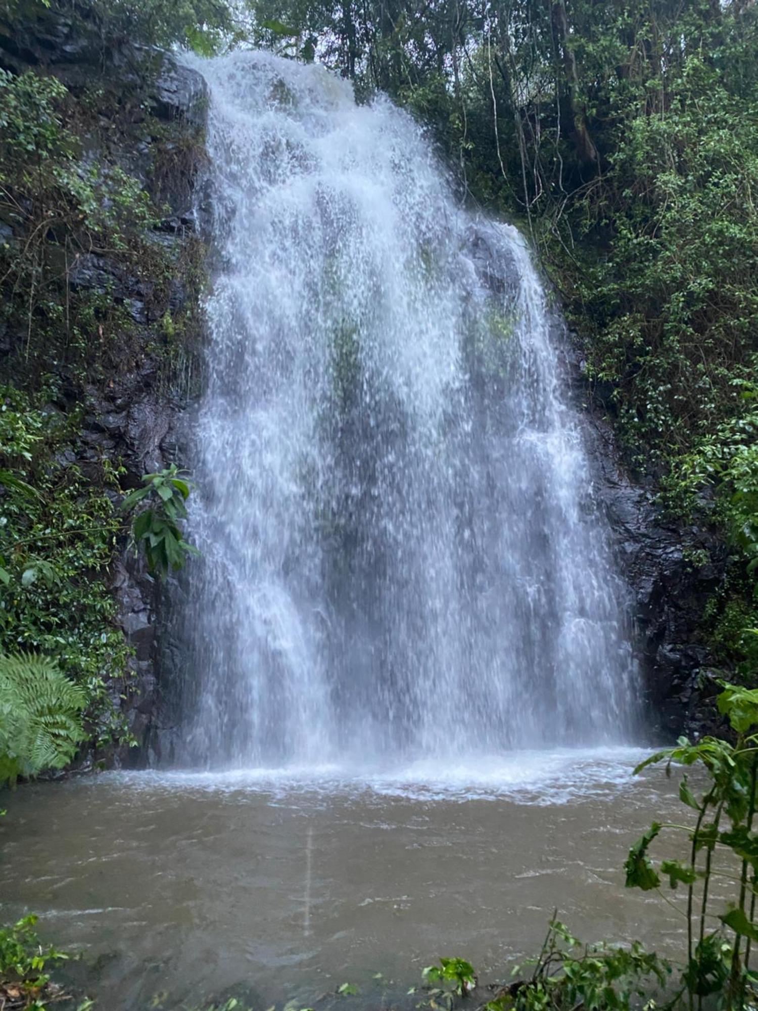 Nimbin Waterfall Retreat Exteriör bild
